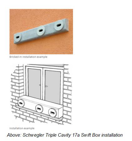 A composite image showing a photograph of a swift box and a technical line drawing of its installation in a brick wall.