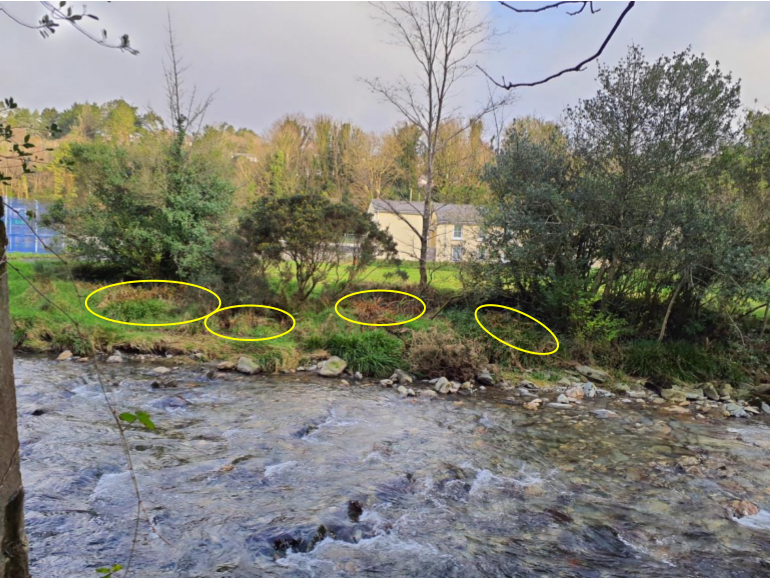 map or plan from page 7