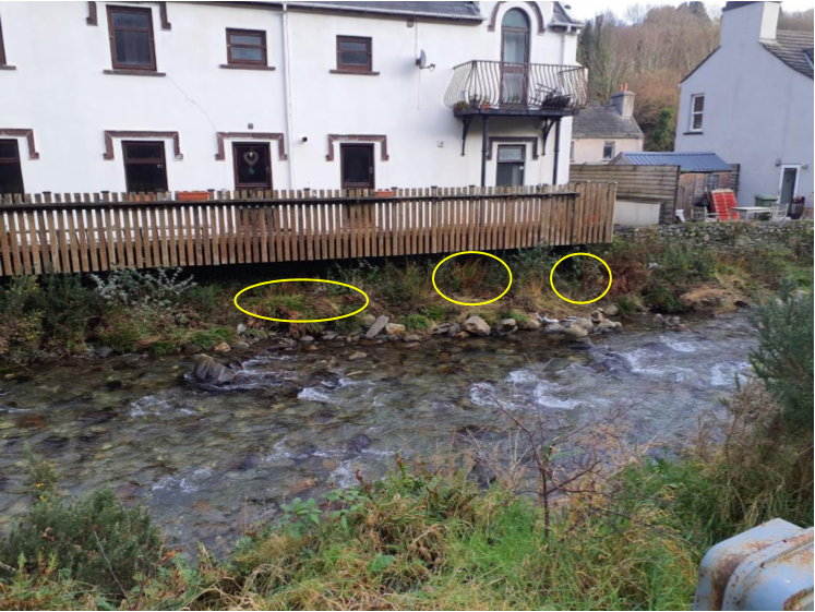 photograph from page 8