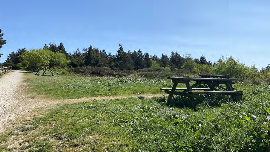 data table or chart from page 4