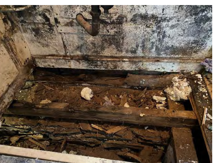 A photograph showing the exposed wooden floor joists and subfloor of a building, revealing the structural condition and debris during renovation or demolition.