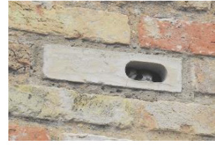 A close-up photograph of a brick wall featuring a concrete bat brick with a roosting hole containing bats.