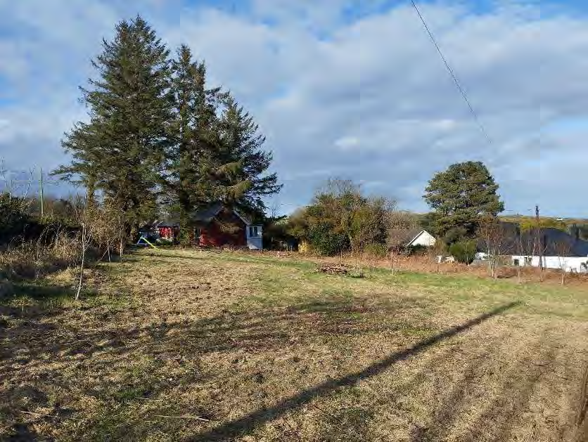 photograph from page 4