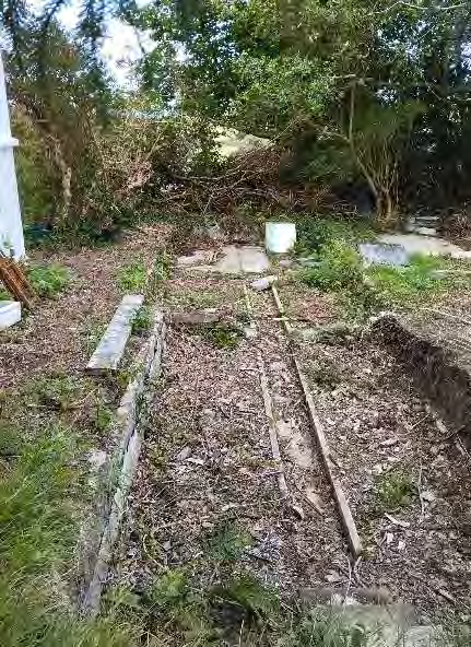 photograph from page 5