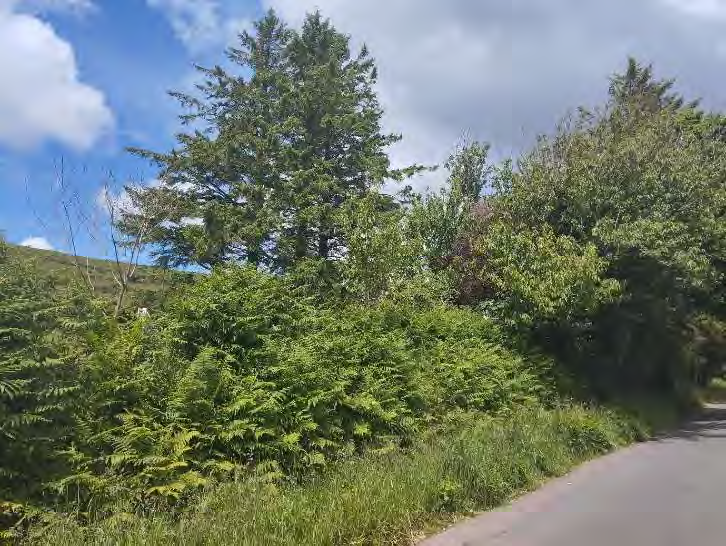 map or plan from page 16