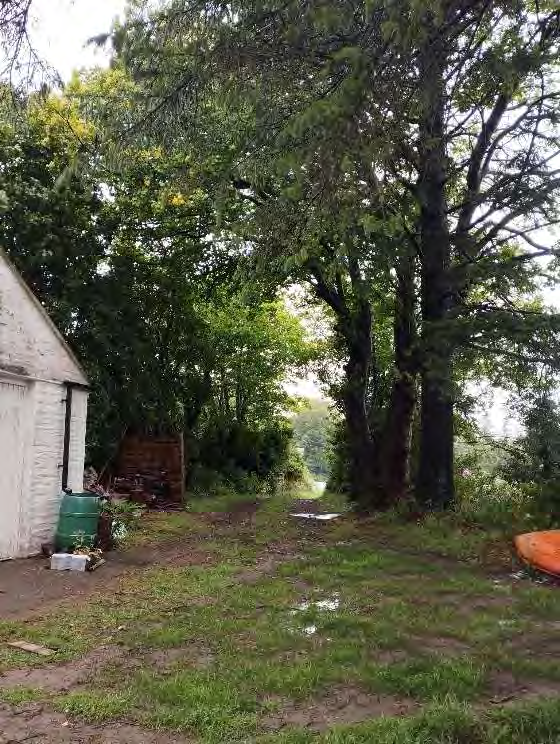 A photograph showing a white outbuilding or garage on the left with a dirt driveway leading into a wooded area.