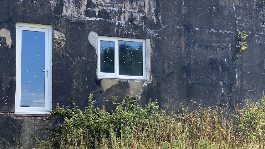 A close-up photograph of a weathered dark exterior wall featuring a newly installed white-framed door and window, surrounded by overgrown vegetation.
