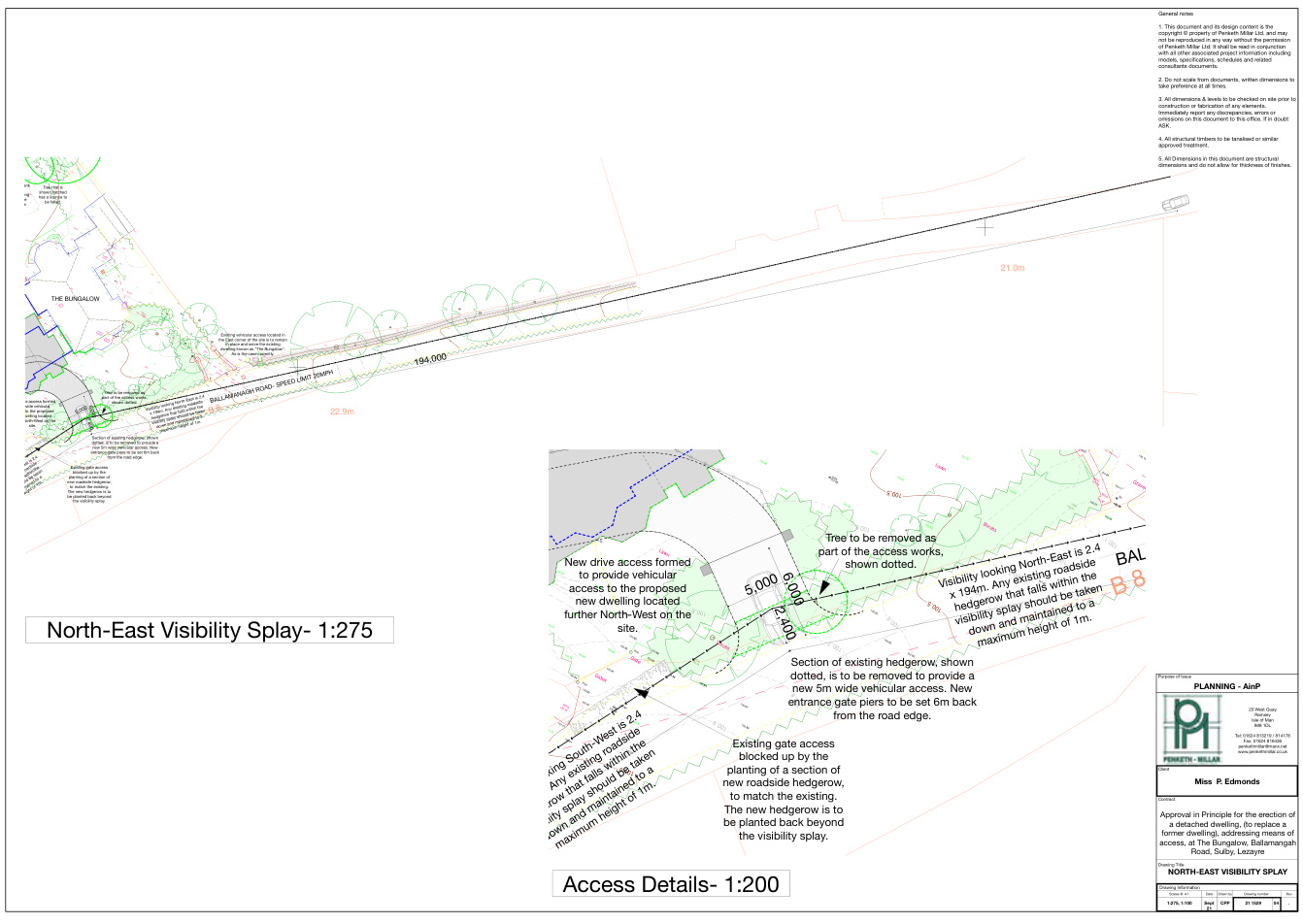 Technical planning drawing showing North-East visibility splay and detailed access arrangements for a proposed new dwelling, including hedgerow removal and gate piers.