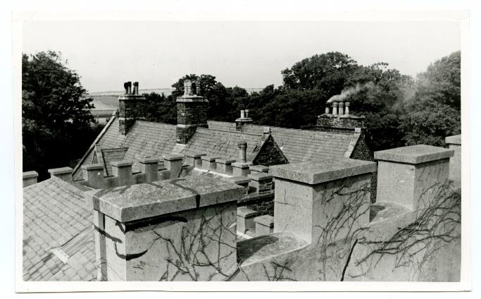 A black and white photograph showing a cluster of slate rooftops with multiple brick chimneys and ivy-covered walls.