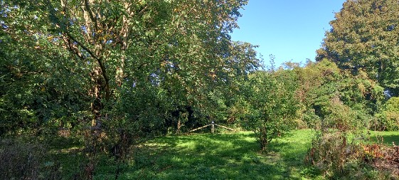 photograph from page 2