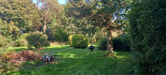 photograph from page 2