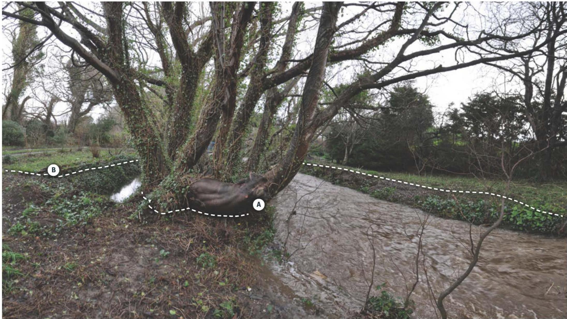 map or plan from page 15