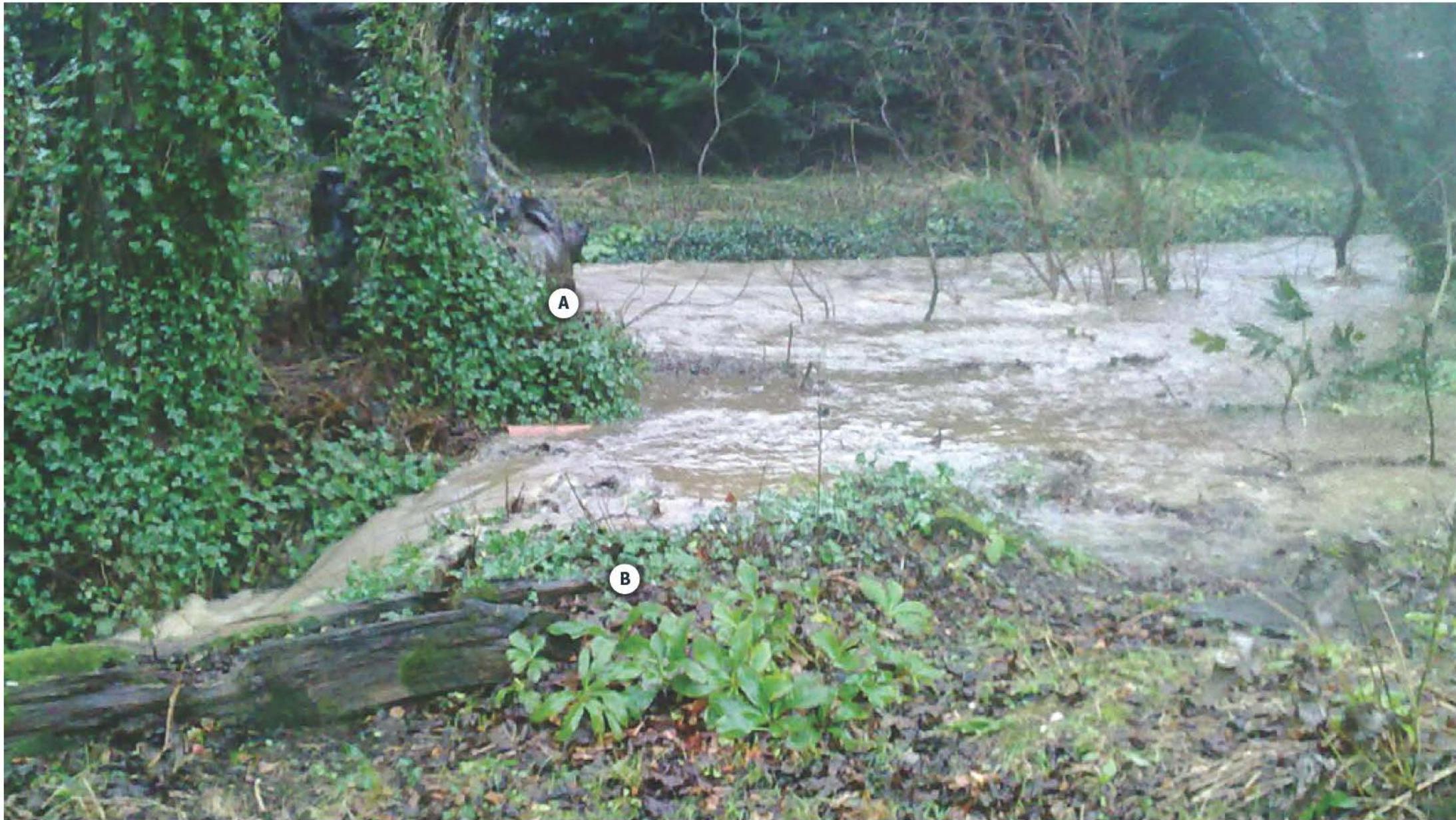 photograph from page 14