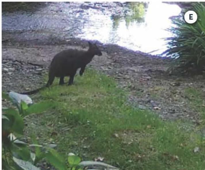 photograph from page 22