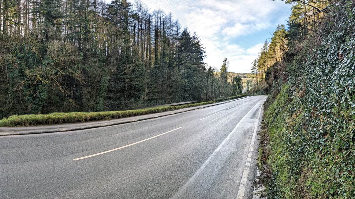 photograph from page 14