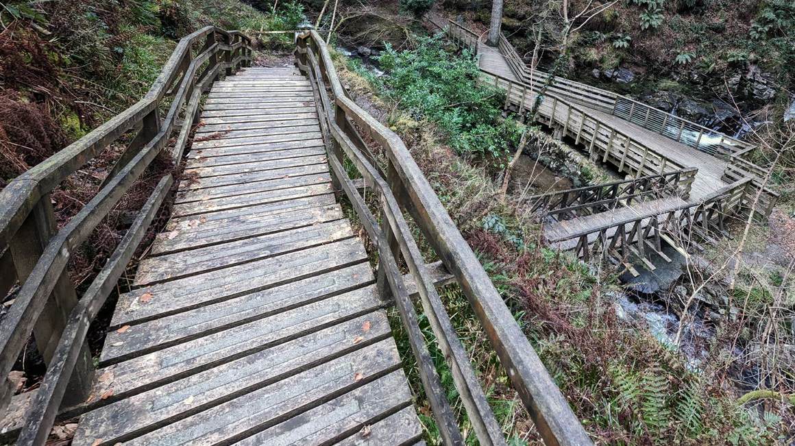 photograph from page 37