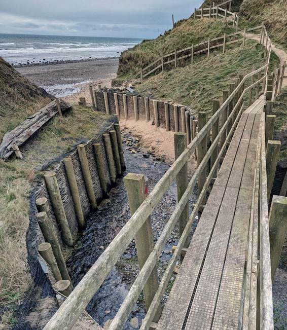 photograph from page 37