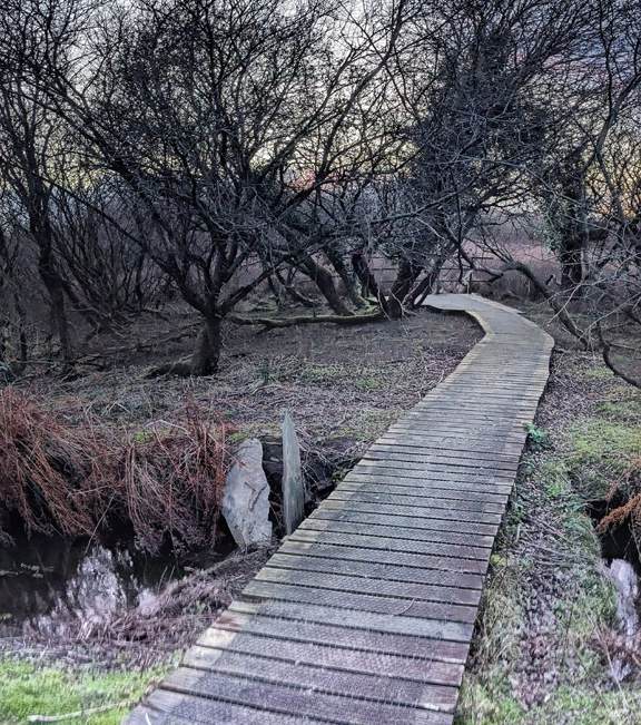 photograph from page 37