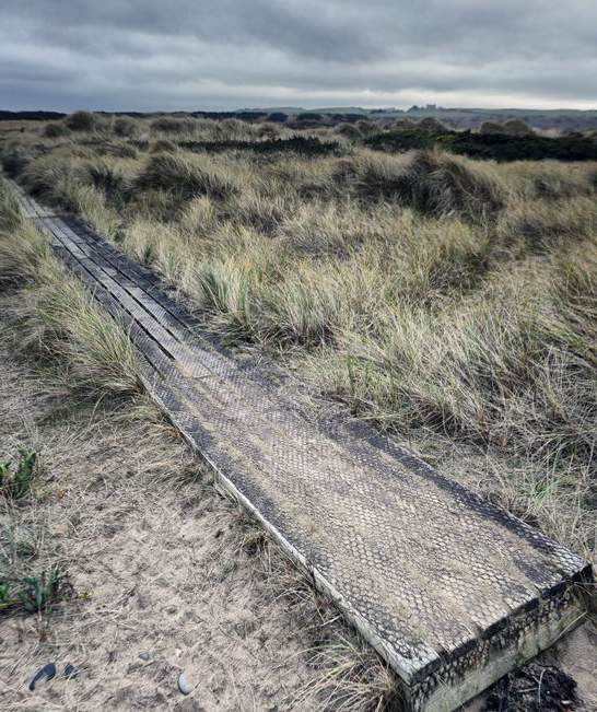 photograph from page 38