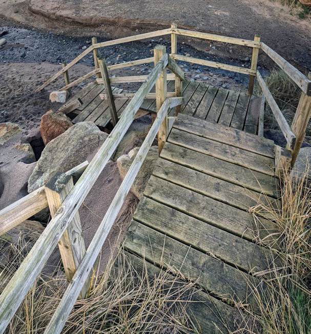 photograph from page 38