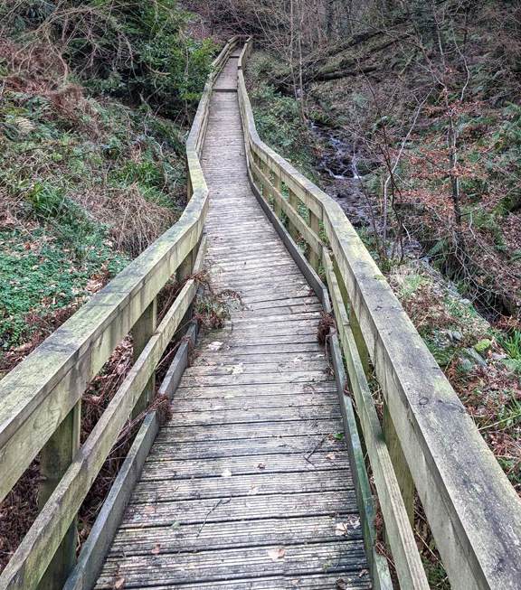 photograph from page 38