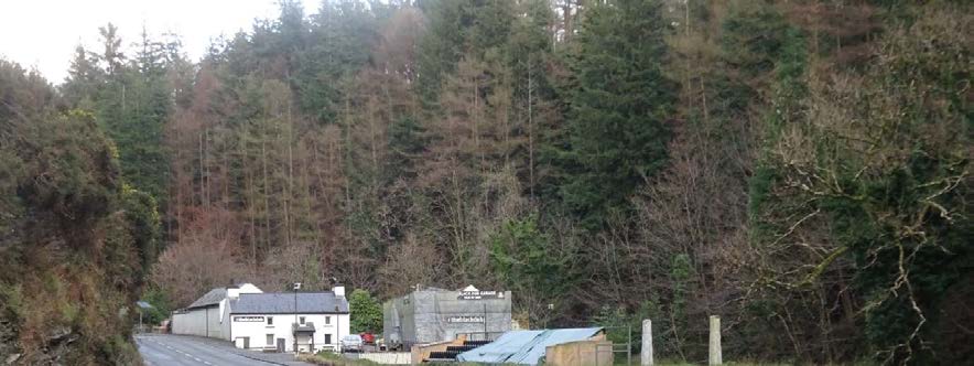 A photograph showing a rural roadside site featuring a white building and a grey structure set against a dense forest background.