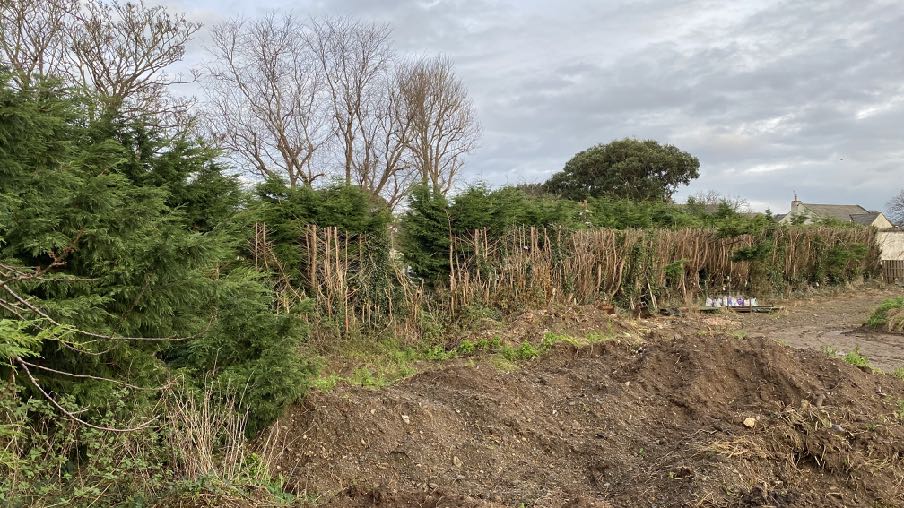 photograph from page 6