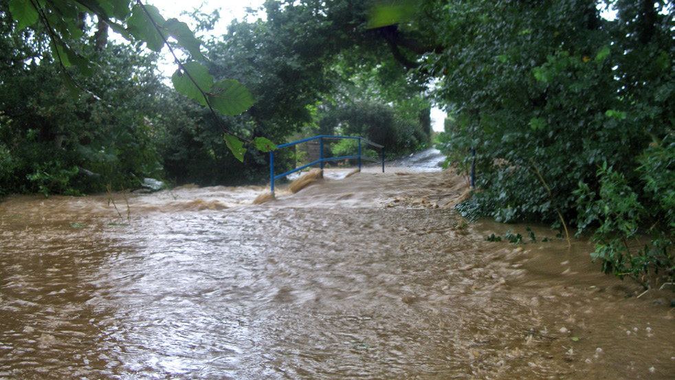 photograph from page 18