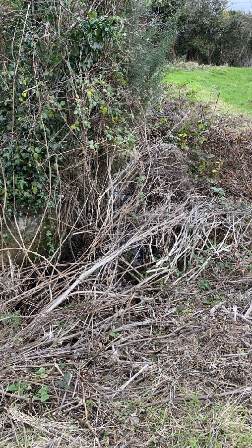 photograph from page 2