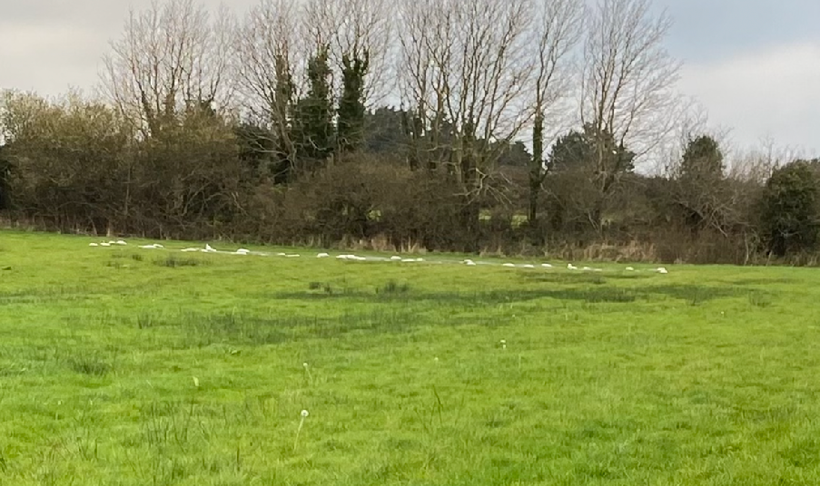 map or plan from page 3