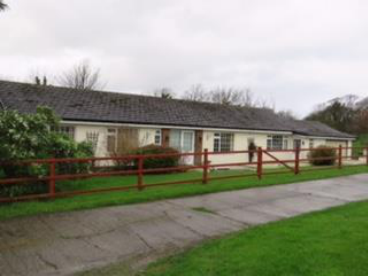 photograph from page 11