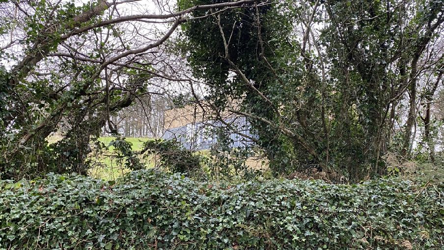 photograph from page 12