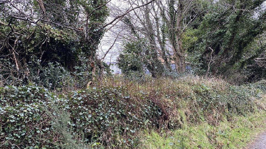 photograph from page 13