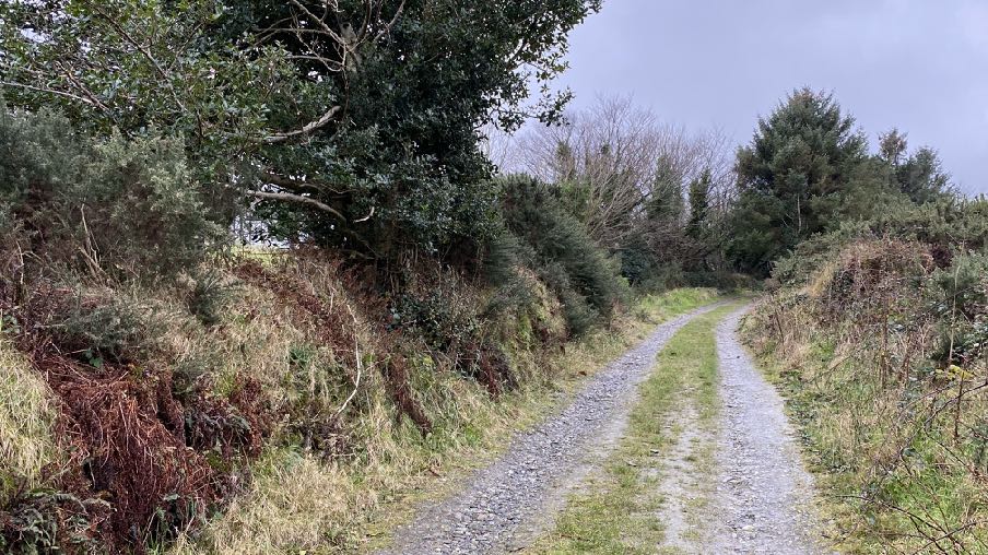 photograph from page 14