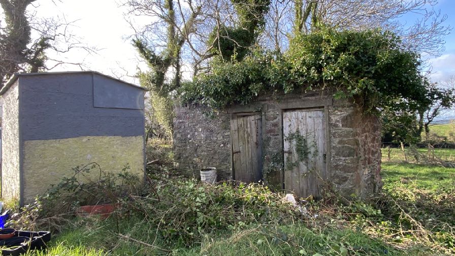 photograph from page 7