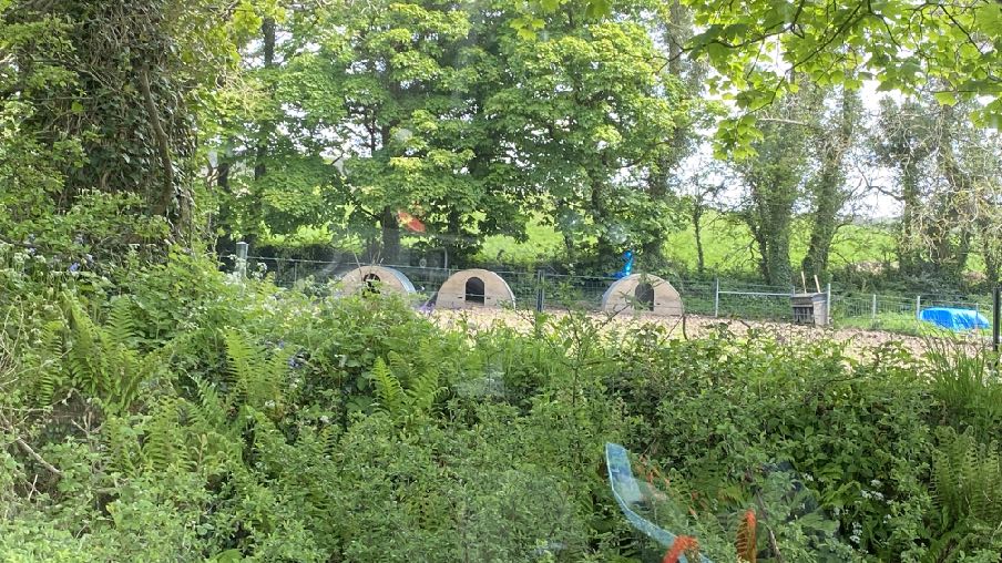 photograph from page 16