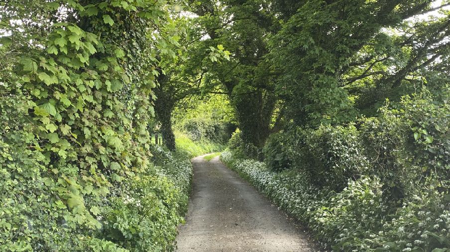 photograph from page 17