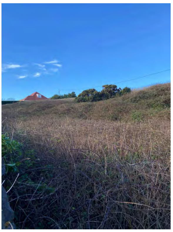 photograph from page 4