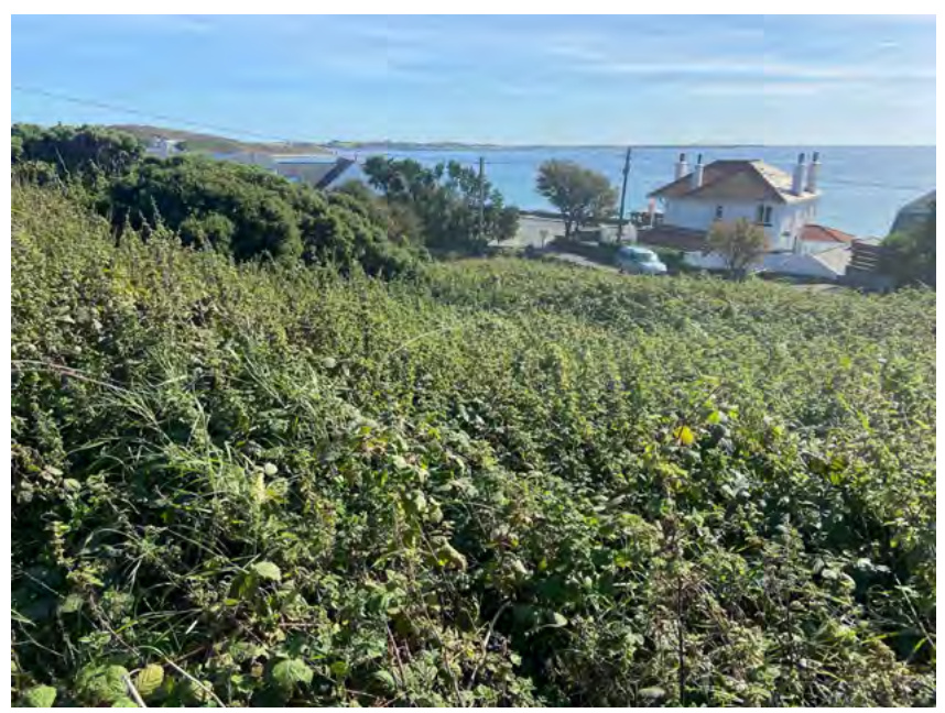 photograph from page 6