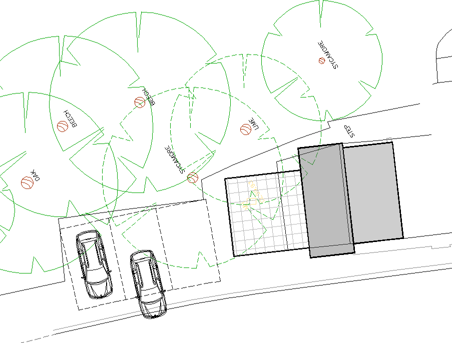 Architectural site plan showing tree locations, parking bays with cars, and building footprints.