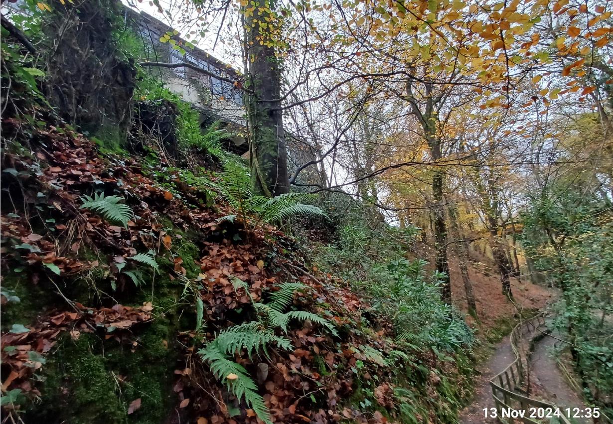 photograph from page 17