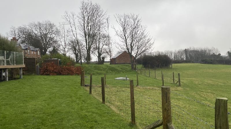 photograph from page 3