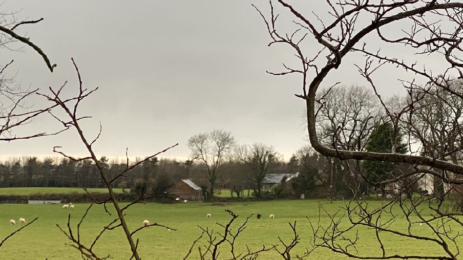 photograph from page 15