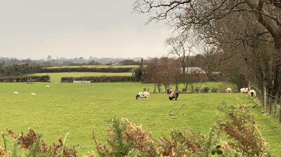 photograph from page 16