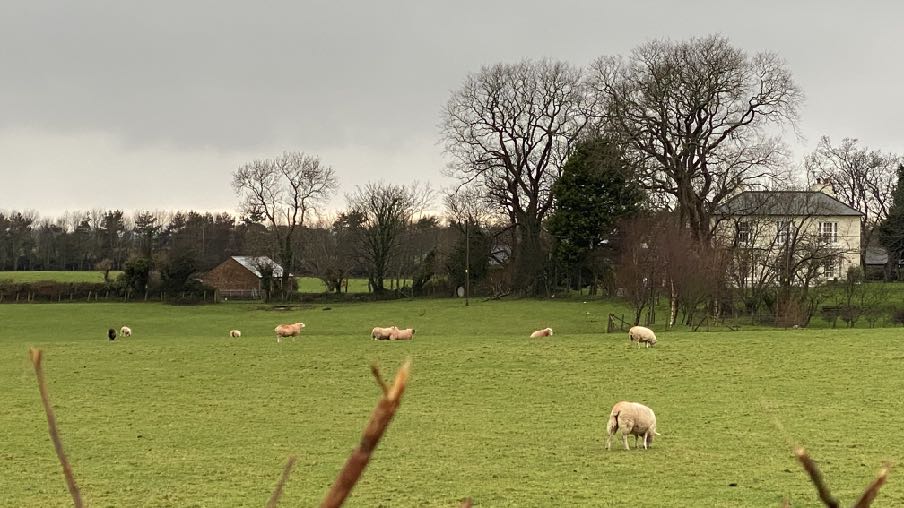 photograph from page 16