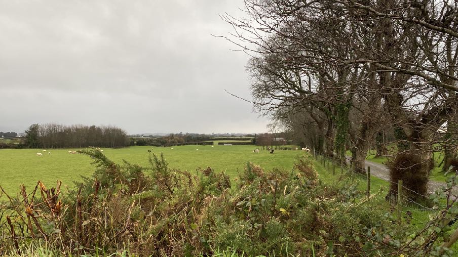 photograph from page 17