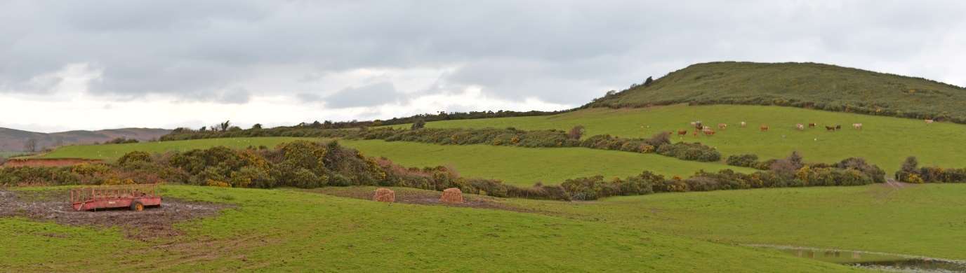 photograph from page 6