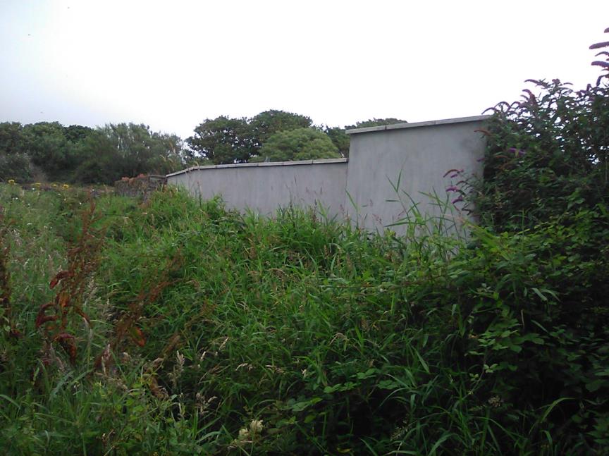 A photograph showing an overgrown grassy plot of land with a concrete wall and trees in the background.
