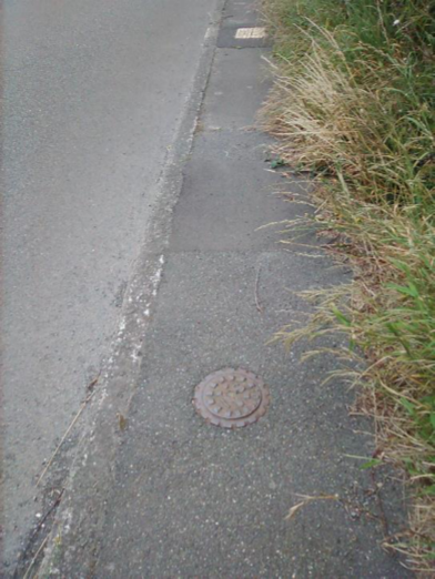 photograph from page 12