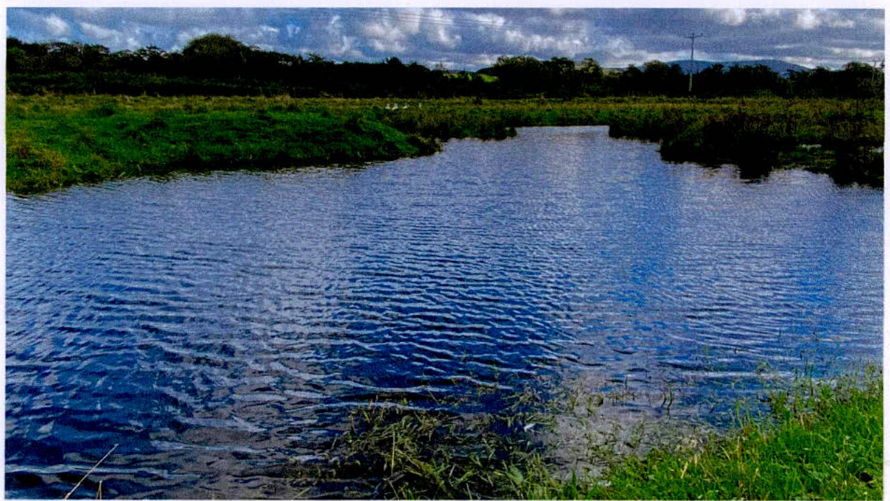 photograph from page 1